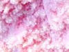 Manganese Chloride Manufacturers India
